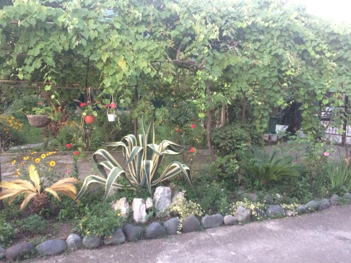 Guesthouse Mira Gagra Exterior photo